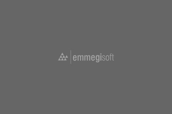 Fp Dealer Emmegisoft