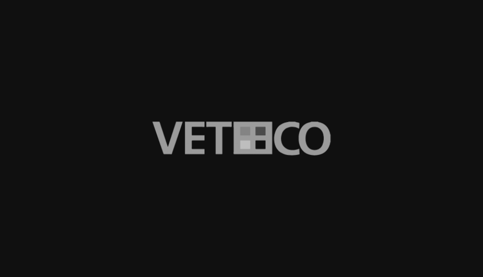 Veteco 2024